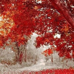 Meet your Posher, Selina